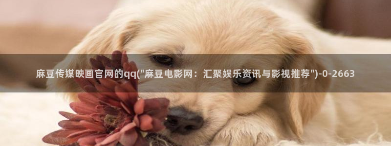 mdpup麻豆传媒官网：麻豆传媒映画官网的qq(\