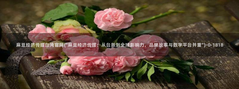 麻豆传媒官网观看：麻豆经济传媒台湾官网(\