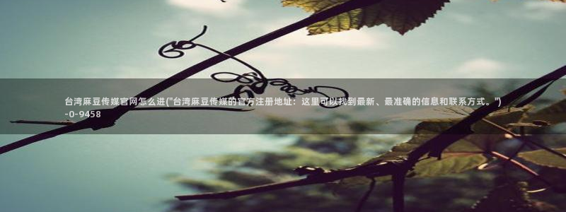 麻豆传媒官网在线观看：台湾麻豆传媒官网怎么进(\