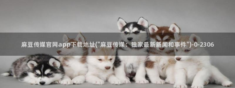 麻豆传媒官网作品