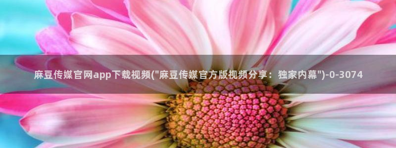 麻豆果冻传媒视频官网