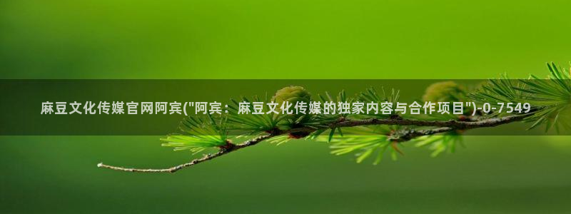 麻豆映传媒官网