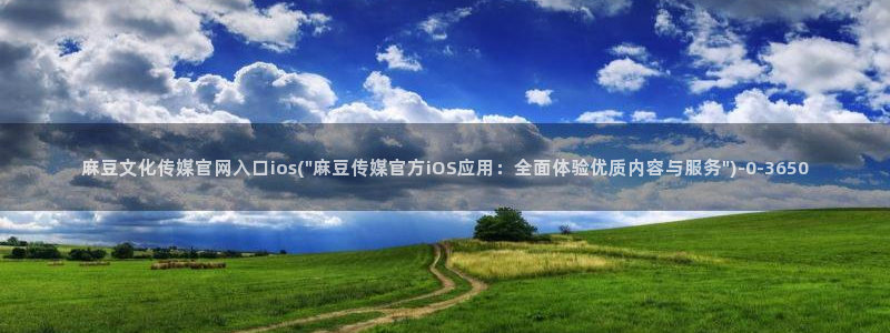 麻豆传媒的官网