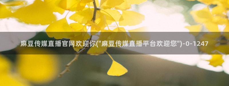 麻豆传媒官网在线观：麻豆传媒直播官网欢迎你(\