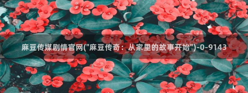 台湾麻豆传媒官网是：麻豆传媒剧情官网(\