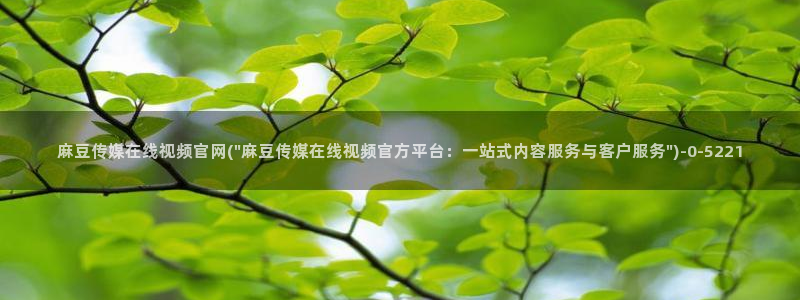 国产麻豆剧传媒官网