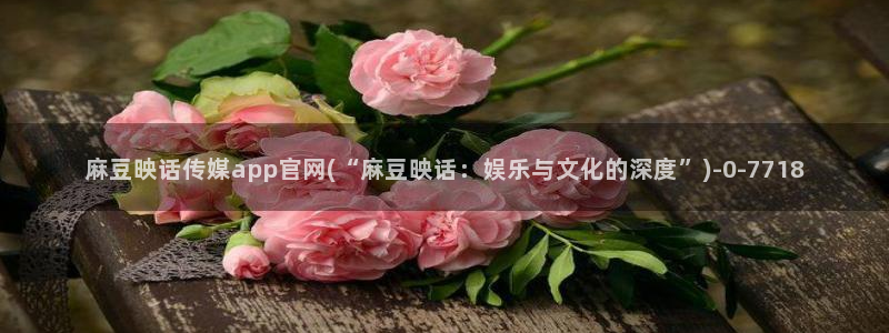 麻豆tv传媒官网入口：麻豆映话传媒app官网(“麻豆映话：娱乐与文化的深度”)