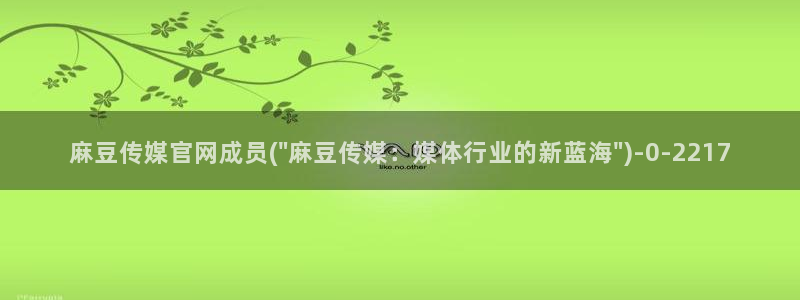 麻豆传媒官网花絮