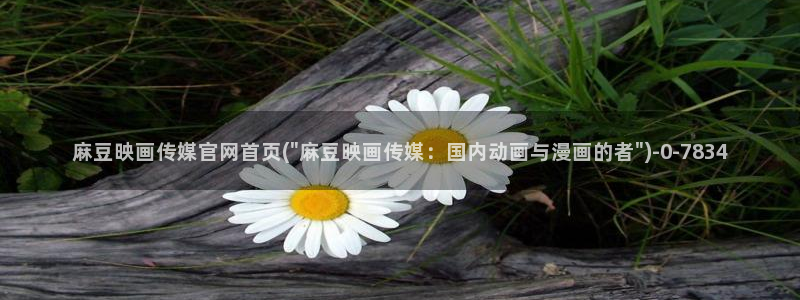 怎么进麻豆传媒官网：麻豆映画传媒官网首页(\