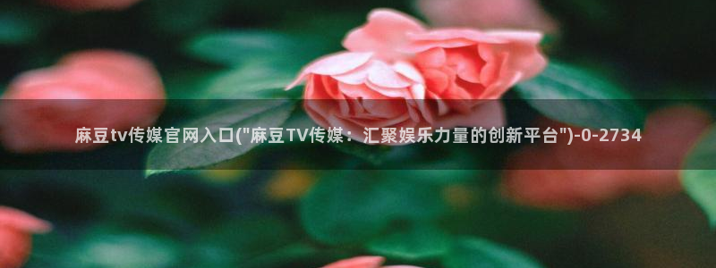 麻豆视传媒短网站官网