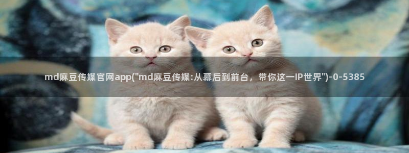 麻豆影视传媒官方官网